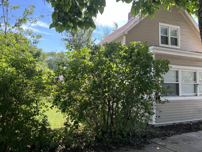 3337 Morgan Street, Steger, IL 60475 - Image 6
